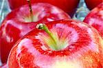 close up of red apples