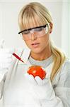 Female scientist injecting liquid into a tomato