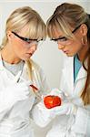 Female scientists injecting liquid into a tomato