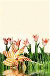 Pink spring tulips on white background with pinwheel in the grass near water