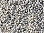 Pile of white kidney beans on an open market