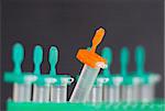 Eppendorf tubes in the rack