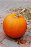 Bright orange pumpkin surrounded by leaves