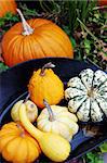 Container filled with orange and yellow pumpkins and gourds