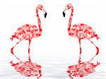 two flamingo on the lake - computer generated illustration