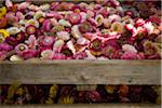 Fleurs séchées au marché, Munich, Allemagne