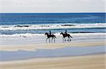 People on the beach riding horses.