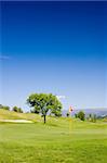 Tree and flag in golf field with deep blue sky