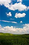 Landscape : Green field, blue sky and big white fluffy clouds. Tuscany, Italy