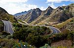 Serpentine scenery in the way to the Teide volcano, Canary islands