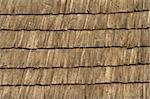 Old Shingle texture