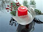 Swan-shaped Candle Holder with red candle and fir-tree branch
