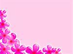 Pink flowers frame as decoration on this background