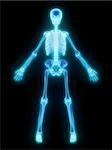 3d rendered anatomy illustration of a glowing human skeleton