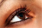 Macro image of a brown eye
