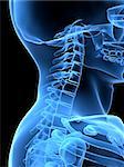 3d rendered x-ray illustration of a human neck and head