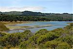 Crystal Springs Reservoir, San Mateo County, California