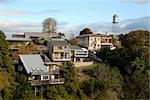 Houses & water tower along the ridge of Bluff Hill, Napier, New Zealand