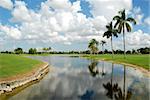 Palm trees reflected in a canal at a golf course, Miami, Florida