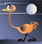 An ostrich walking under moonlight with fearful eye