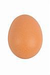 Brown chicken egg isolated on white background
