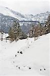 Winter landscape in Switzerland.