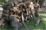 A pile of stacked firewood in the country.