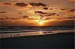 A brilliant sunset over the Gulf of Mexico in western Florida.