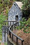 Stone house hidden in the middle of the forest