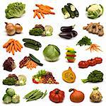 large page of vegetables on white background