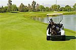 A golf course and senior golfers in action