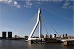 The Erasmus bridge in Rotterdam, Holland