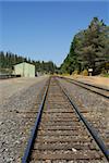 Railroad tracks, Colfax, California