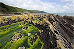 Rugged coastline in Southern Ireland