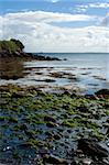 View of an Irish bay, with seaweed covered rocks