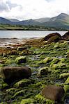 Scenic view of a beach in Southern Ireland