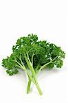 Fresh parsley in isolated white background