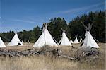 A small Native American village located at the edge of a forest. This group of teepees in the wilderness are used for summer camping.