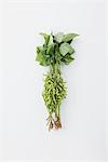 Boiled Soybeans On White Background