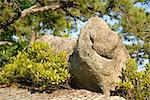 Granite boulder at Long Pond near Hope Valley, RI