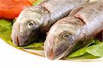 cloe-up image of two raw fish on a plate