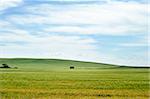 Prairie horizon in rural Saskatchewan.