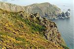 The headland at cap hague normandy.