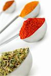 Assorted spices in metal measuring spoons on white background