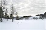 Winter Mountain Scene with dramatic sky