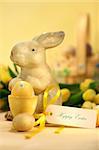 Easter eggs with bunny on yellow background