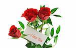 three red roses with I love you message