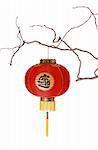 Red paper lanterns for Chinese New Year