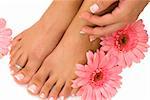 Pedicured feet and pink daisies