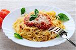 Big plate of pasta with tomato basil sauce and parmesan